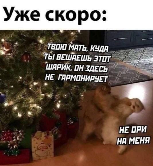 Мемы