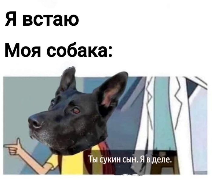 Отборный юмор