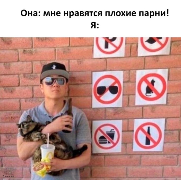 Приколы и юмор