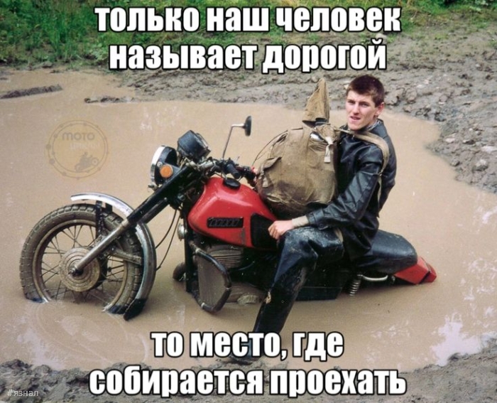 Приколы и юмор