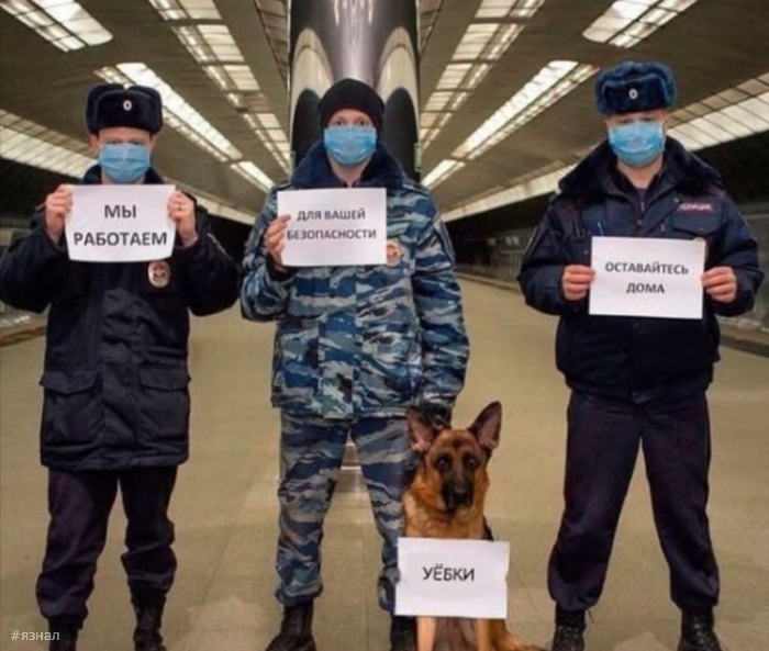 Приколы и юмор