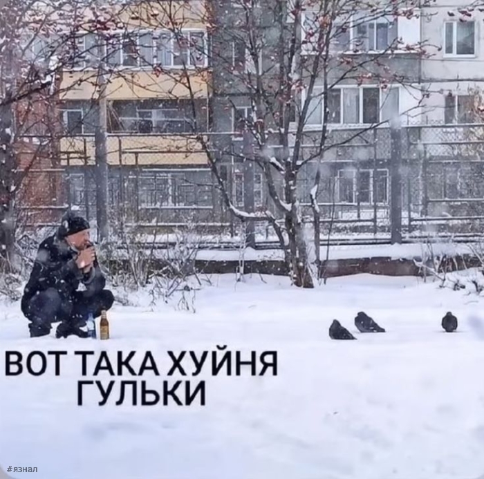 Приколы и юмор