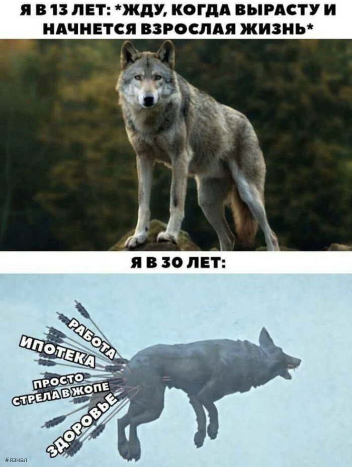 Приколы и юмор