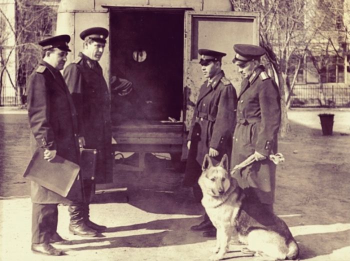 Судебный процесс из СССР 1964 года о котором стоит знать