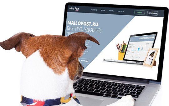 Российский сервис email рассылки