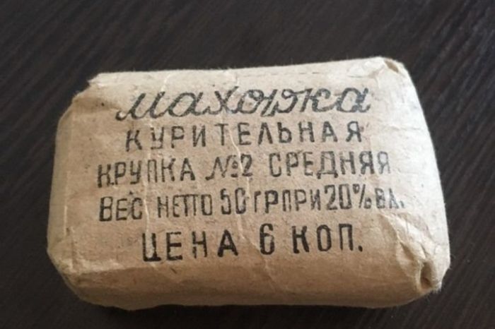 Махорка: что это за растение и чем оно отличается от обычного табака