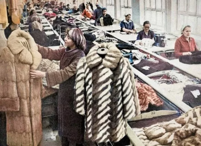 Как Андропов ликвидировал меховую мафию в СССР